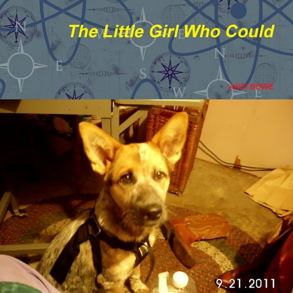 The little Girl Who Could, (Paperback)