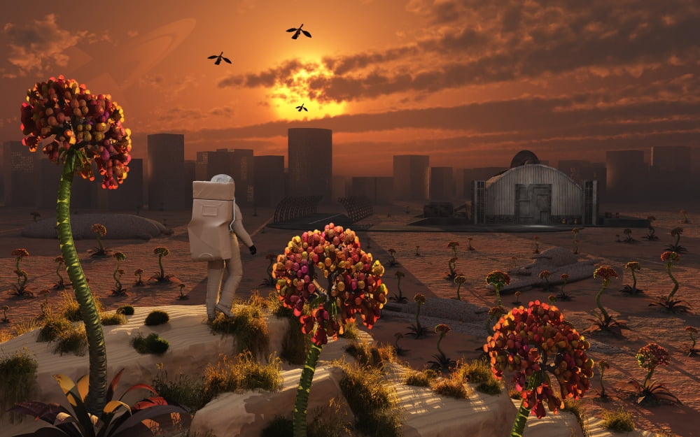 The lone figure of an astronaut explorer stands out in an alien landscape Canvas Art - Mark StevensonStocktrek Images (36 x 23)