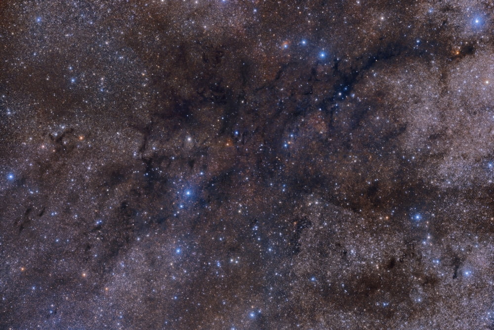 The massive dark nebula complex LDN 1003 Canvas Art - John DavisStocktrek Images (35 x 23)