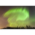 thumbnail image 1 of The northern lights above a forest;Anchorage alaska united states of america Poster Print (38 x 24), 1 of 3