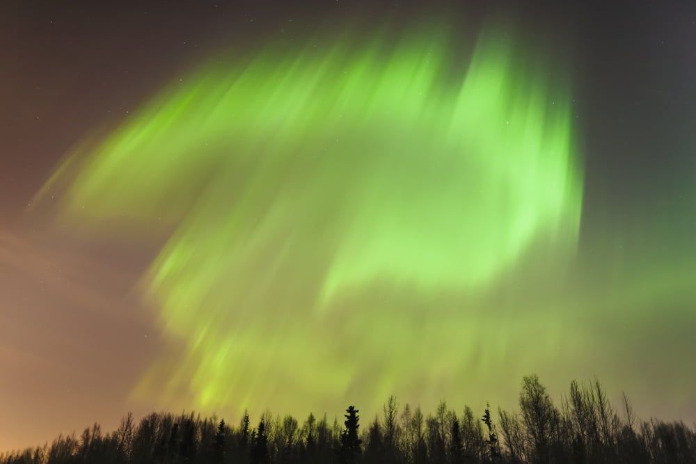 The northern lights above a forestAnchorage alaska united states of america Canvas Art - Kevin Smith Design Pics (19 x 12)