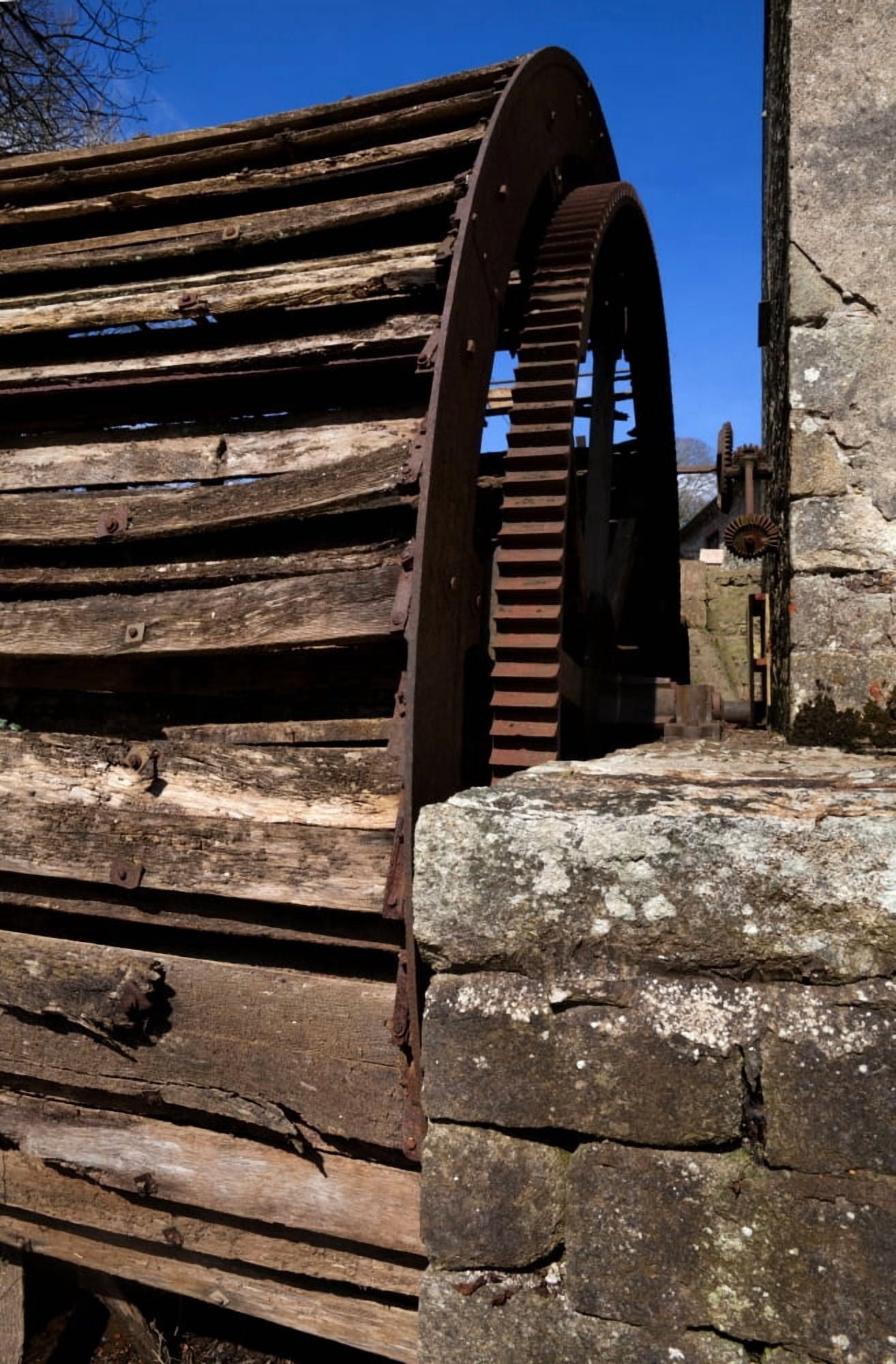 The old water wheel and flour-mill on the River Corock Foulkesmill County Wexford Ireland Canvas Art - Panoramic Images (36 x 12)