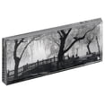 thumbnail image 1 of The original acrylic Museum MAGNET FRAME  panoramic  with Graphite edging - 4x10, 1 of 1