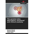 thumbnail image 1 of The parietal lobe: descriptive, functional and clinical anatomy, (Paperback), 1 of 1