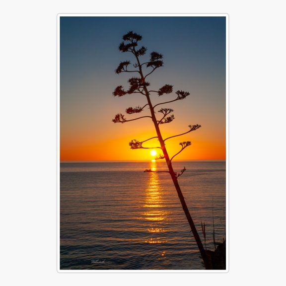 The perfect sunset Sticker
