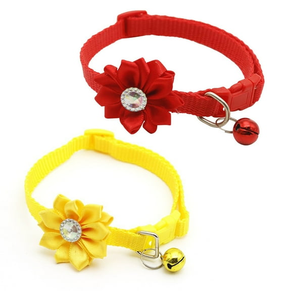 The power of an all in one split cat collar with personalized options