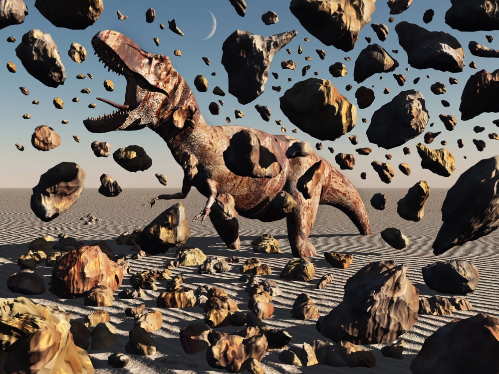 The powerful T-Rex shatters its rock suit encasing Canvas Art - Mark StevensonStocktrek Images (17 x 13)