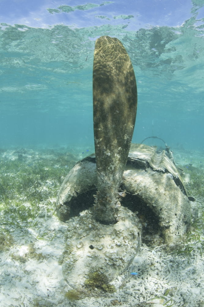The propeller of a Japanese Zero fighter on a shallow reef in Palau Canvas Art - Ethan DanielsStocktrek Images (12 x 17)