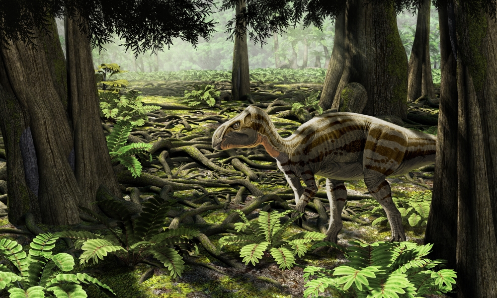 The rhabdodontid iguanodont Zalmoxes robustus Canvas Art - Roman Garcia MoraStocktrek Images (19 x 11)