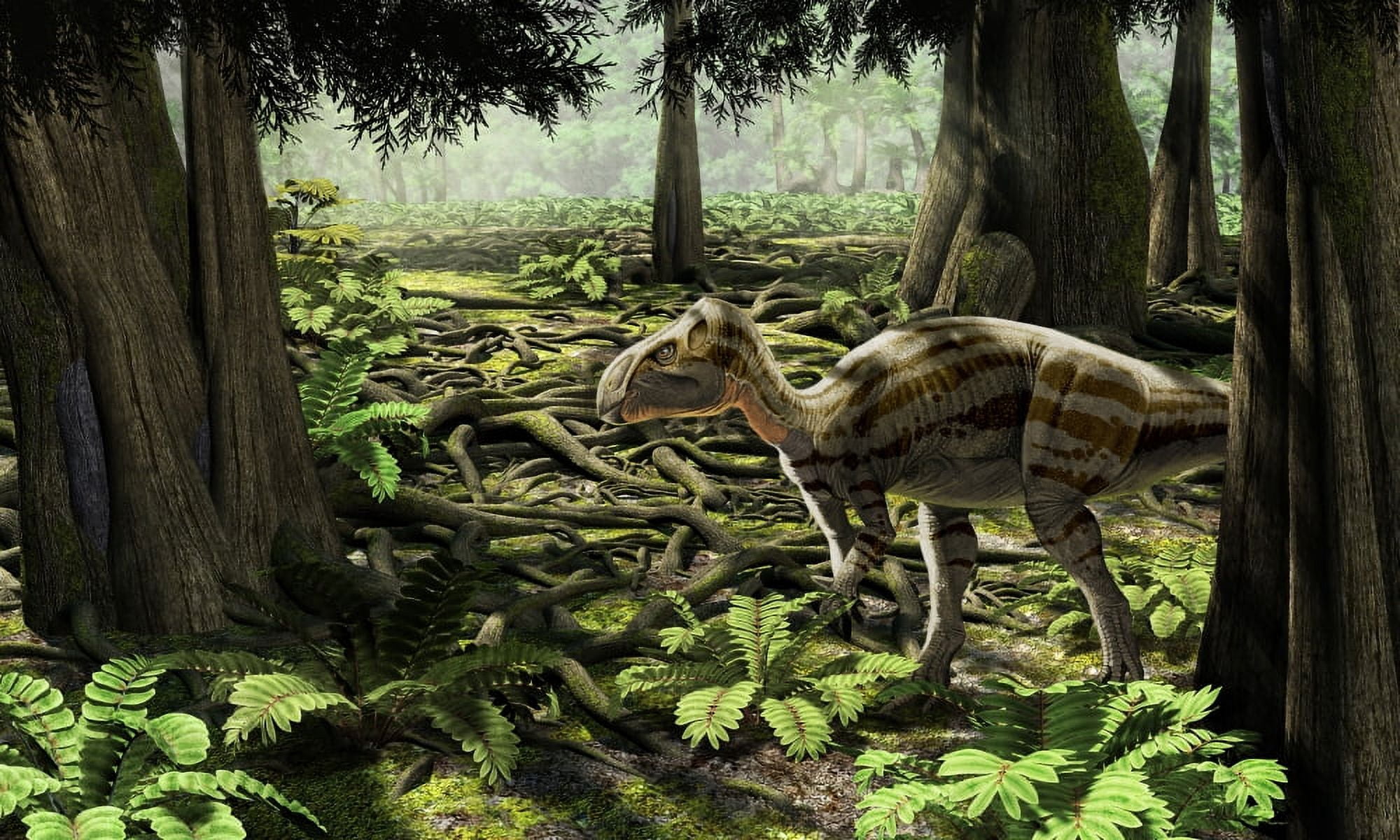 The rhabdodontid iguanodont Zalmoxes robustus Canvas Art - Roman Garcia MoraStocktrek Images (37 x 22)