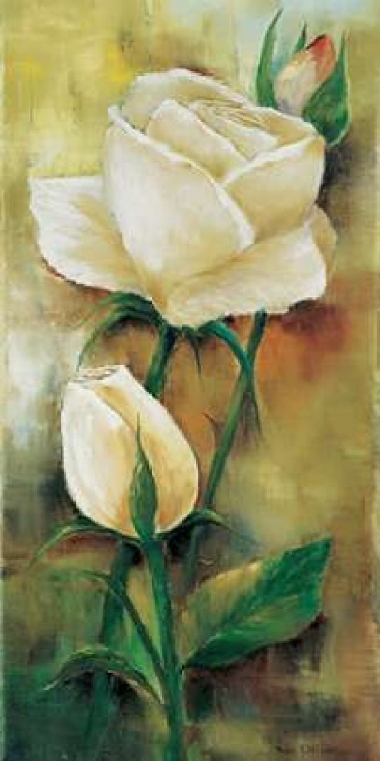 The rose I Canvas Art - Rian Withaar (10 x 20)