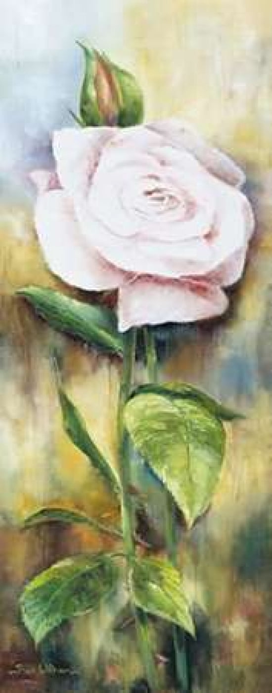 The rose II Canvas Art - Rian Withaar (10 x 20)