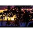 thumbnail image 1 of The setting sun through silhouetted palm trees; Wailea Maui Hawaii United States of America by Jenna Szerlag / Design Pics, 1 of 3