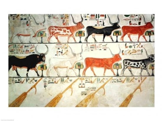 The seven celestial cows and the sacred bull and the four rudders of heaven Canvas Art - (36 x 24)
