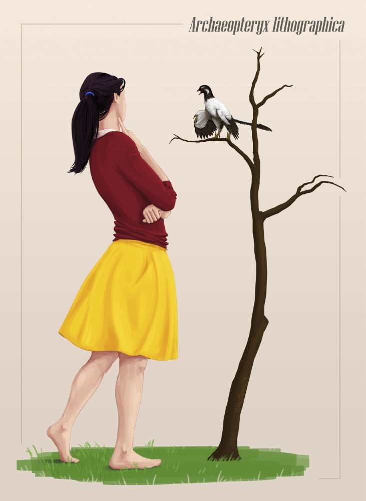 The size of an Archaeopteryx perched on a tree branch compared to a young adult Canvas Art - Christian MasnaghettiStocktrek Images (12 x 17)