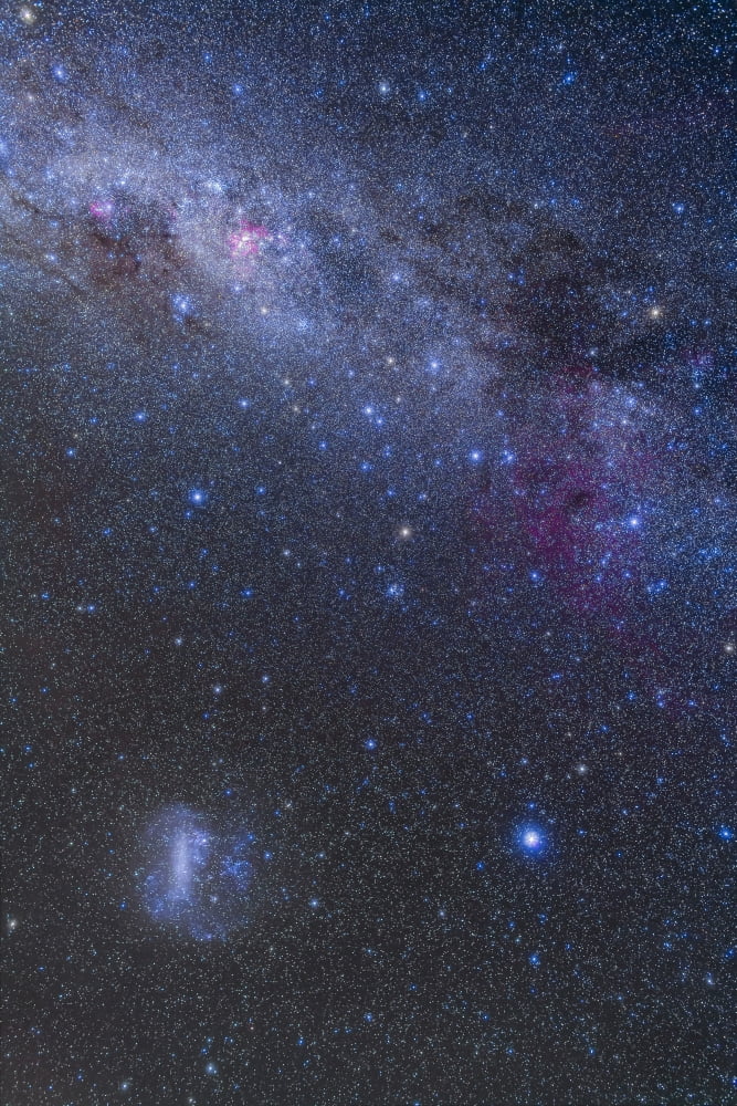 The southern sky and Milky Way from Canopus up to the Carina Nebula Canvas Art - Alan DyerStocktrek Images (23 x 34)