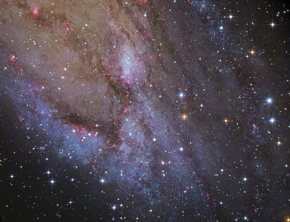 The southwest spiral arm of Messier 31 Canvas Art - Robert GendlerStocktrek Images (16 x 13)