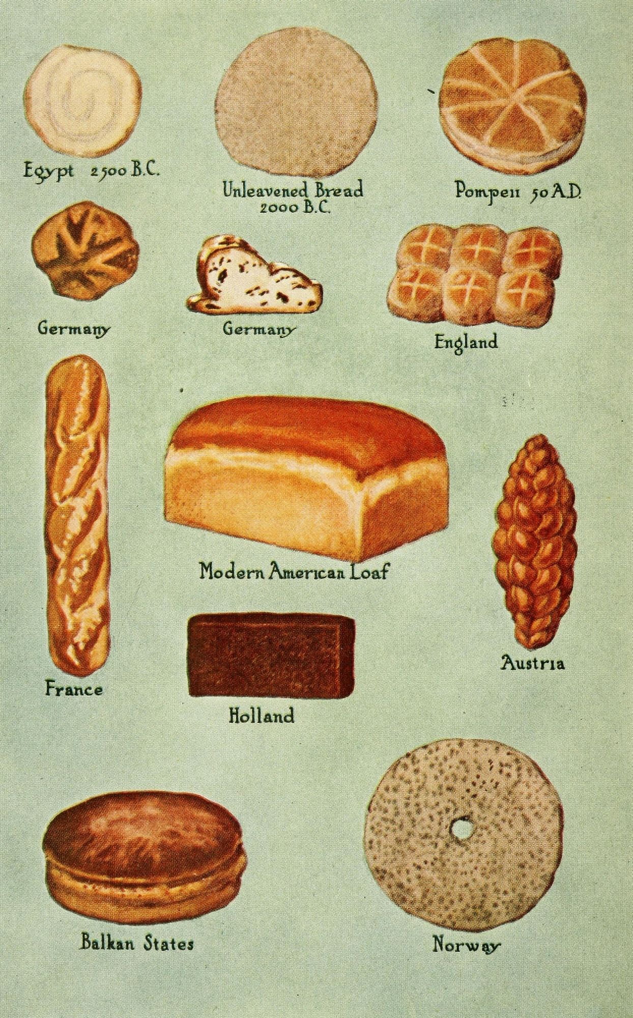 The story of the staff of life 1911 Bread Canvas Art - Unknown (18 x 24)