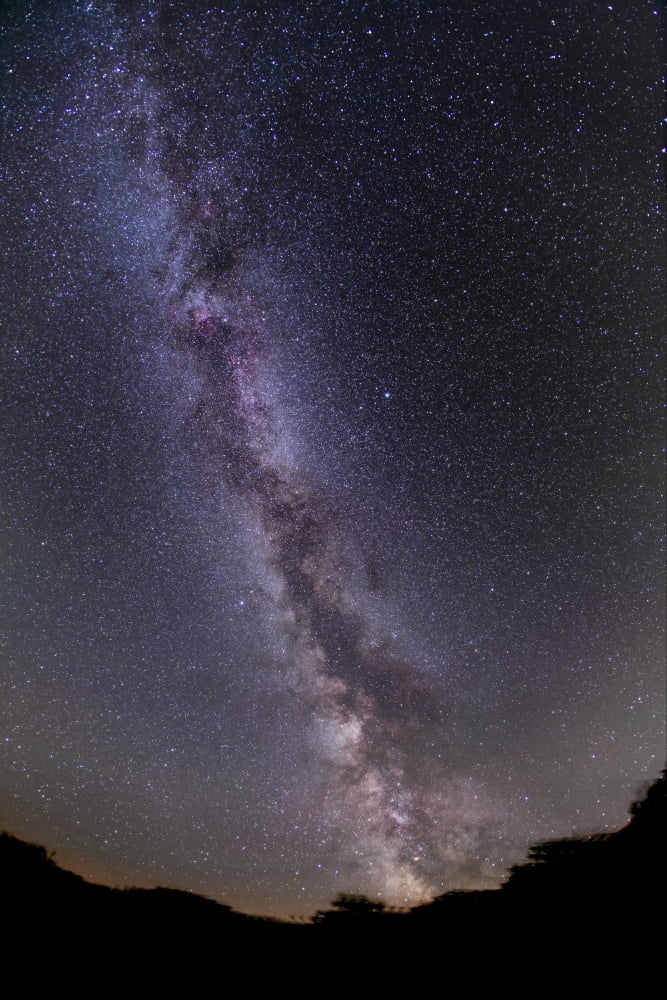 The summer Milky Way in southern Alberta Canada Canvas Art - Alan DyerStocktrek Images (23 x 35)