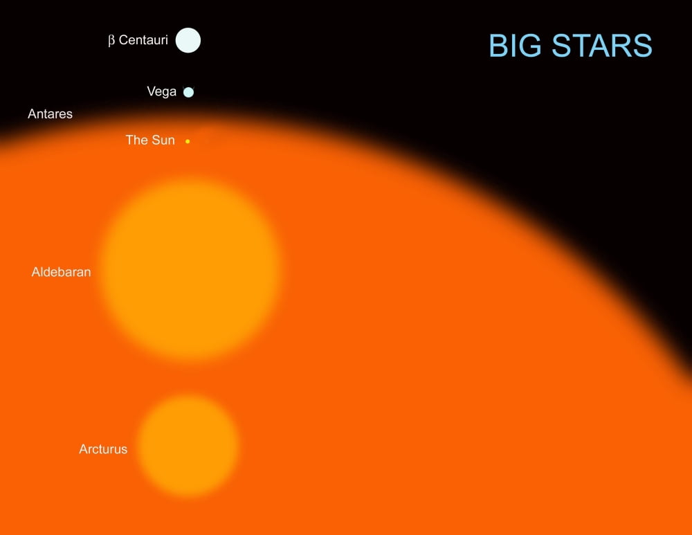 The sun compared to four typical large stars Canvas Art - Ron MillerStocktrek Images (16 x 13)
