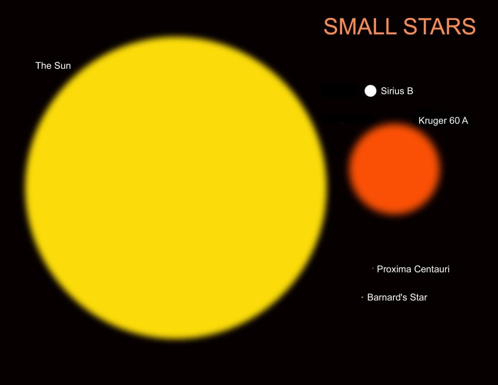 The sun compared to four typical small stars Canvas Art - Ron MillerStocktrek Images (16 x 13)