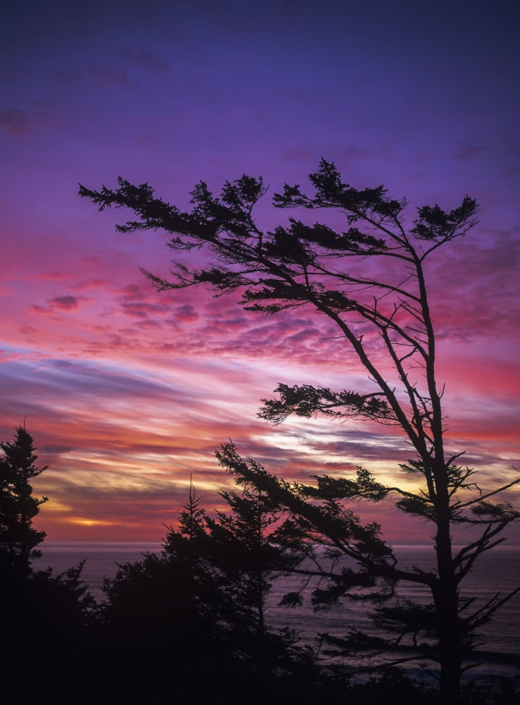 The sun sets near Cape Perpetua Yachats Oregon United States of America Canvas Art - Robert L Potts Design Pics (26 x 36)