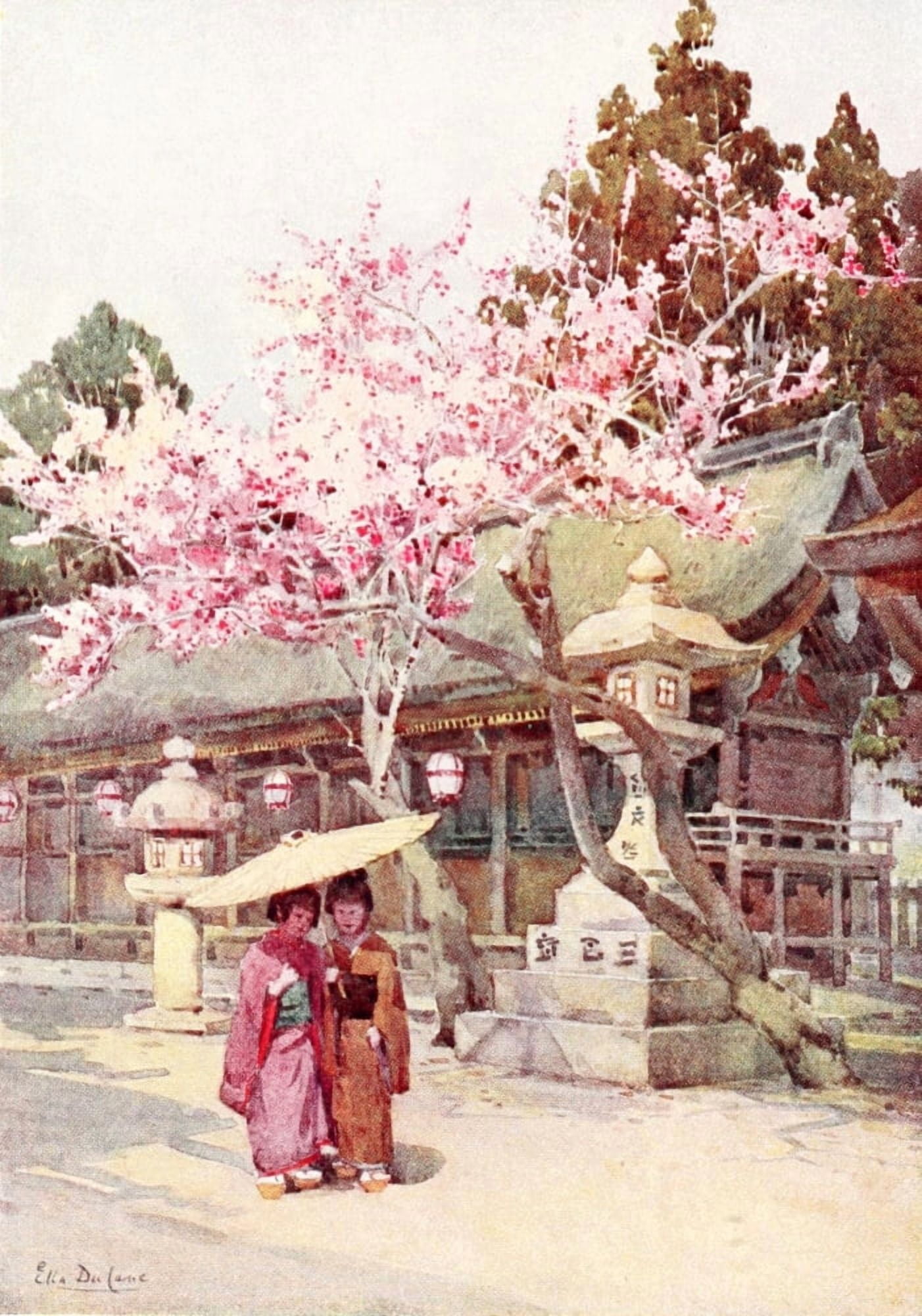 The time of the plum blossoms Flowers & Gardens of Japan 1908 Canvas Art - Ella Du Cane (18 x 24)