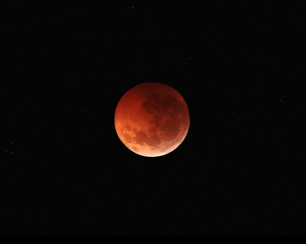 The totality phase of a lunar eclipse during the 2010 solstice Canvas Art - Luis ArgerichStocktrek Images (32 x 25)