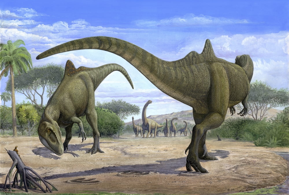 The wedding ceremony between two Concatenator corcovatus dinosaurs Canvas Art - Sergey KrasovskiyStocktrek Images (34 x 23)