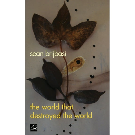 The world that destroyed the world: a poem Paperback 0999527789 9780999527788 Sean Adrian Brijbasi