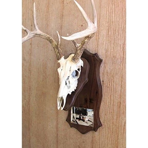 TheBlack Walnut European Mount Picture Pedestal Plaque