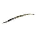 thumbnail image 1 of TheBoneEdge 8.5' Mini Pearly White and Gold Handle Thin Toothpick Folding Knife, 1 of 2