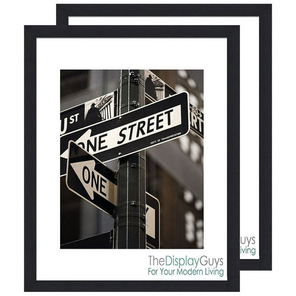 TheDisplayGuys 2 Set 16x20 Black Wooden Picture Frames matted to 11x14 Photos, Plexi Glass, Wall Hanging