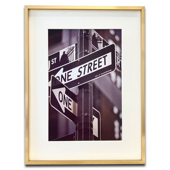 TheDisplayGuys Aluminum Metal 12x16 Picture Frame w. Tempered Glass matted to 8x12 (Gold) for Horizontal & Vertical Wall Hanging