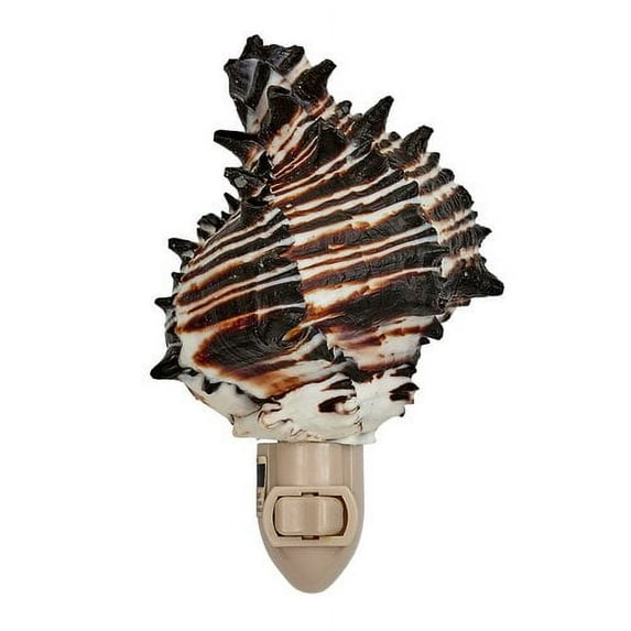 TheSeashellCompany Murex Shell Night Light