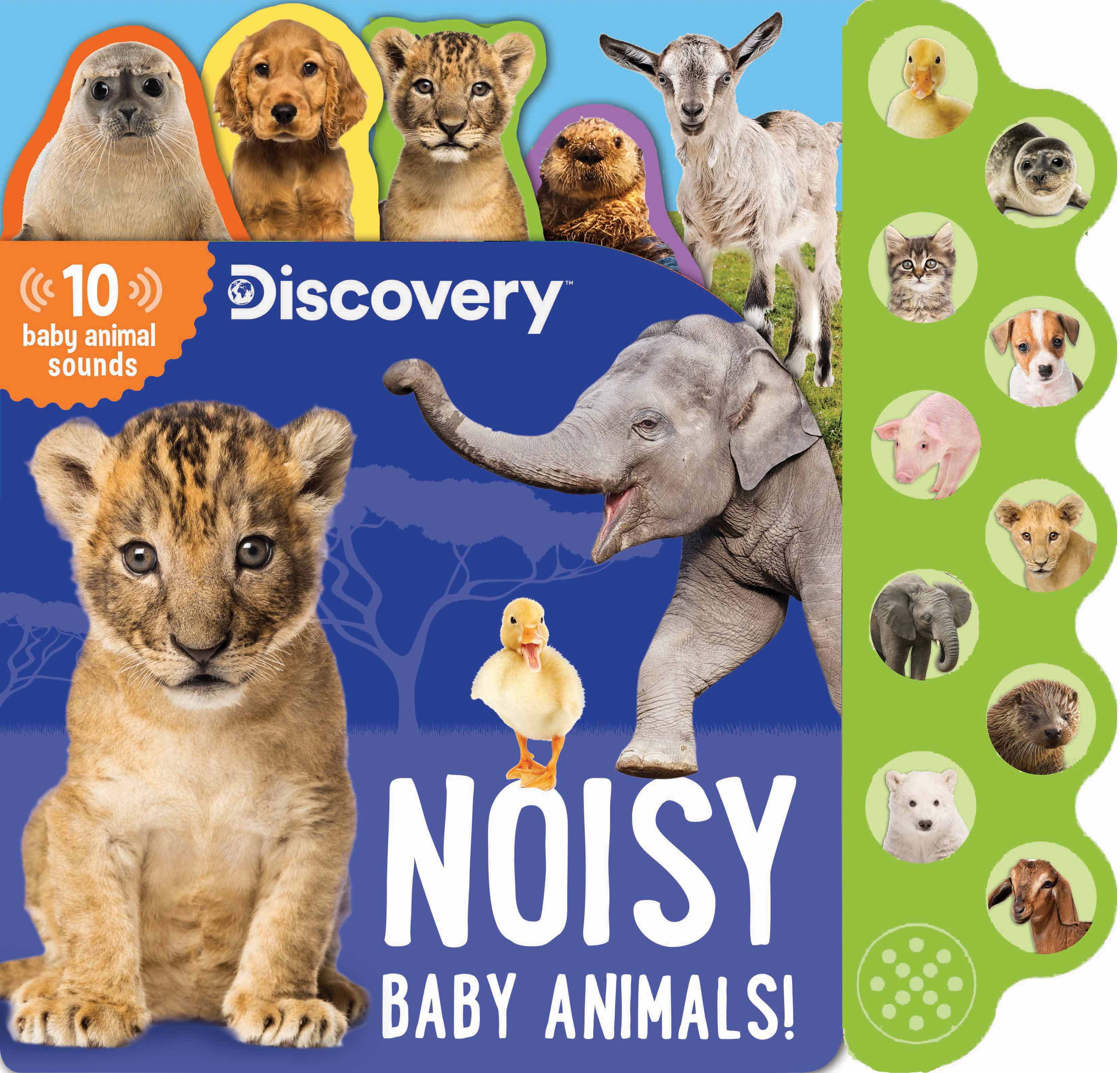 Thea Feldman: Discovery: Noisy Baby Animals! (Board Book)