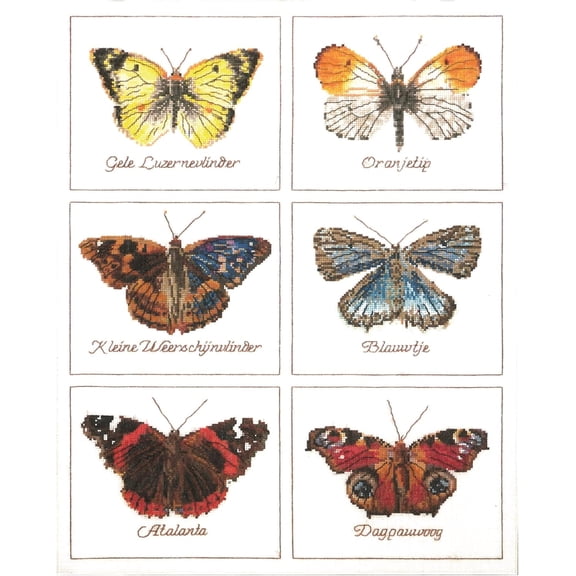 Thea Gouverneur - Counted Cross Stitch Kit - Butterflies - Aida - 16 Count - Embroidery Kit for Adults - DMC Embroidery Threads and Other Cross Stitch Supplies Included - 2037A