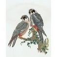 thumbnail image 1 of Thea Gouverneur Counted Cross-Stitch Kit, Falcons, 1 of 2