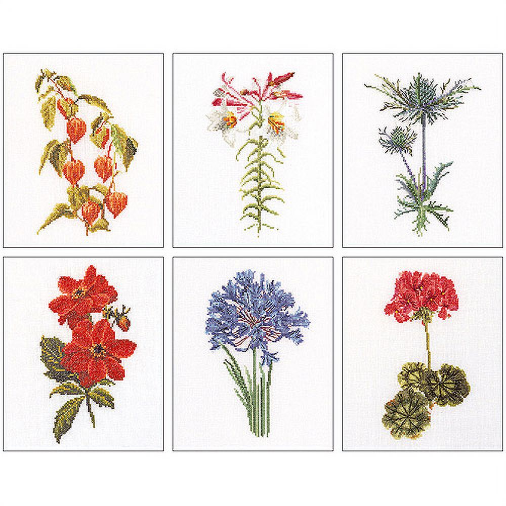 Thea Gouverneur Kreuzstich-Set 'Floral Studies 3' – Aida 18ct, 17,1 X 20,3 Cm, Komplett