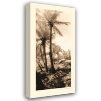 Thea Schrack 13x24 Gallery Wrapped Canvas Wall Art Titled - Equatorial Breeze I