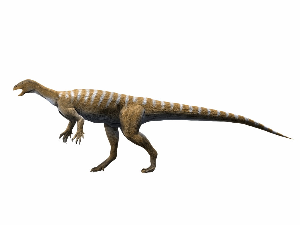 Thecodontosaurus antiquus Late Triassic of The United Kingdom Canvas Art - Nobumichi TamuraStocktrek Images (33 x 25)