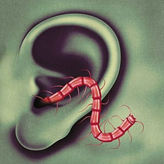 Thee Oh Sees - An Odd Entrances - Rock - Vinyl