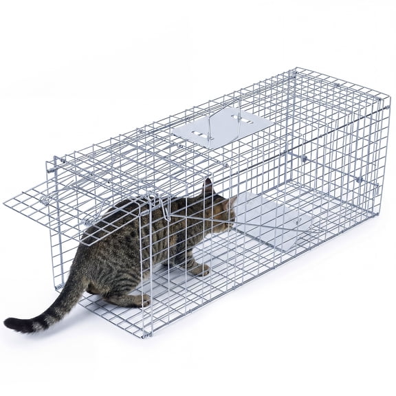 Thehsnt 33-Inch Humane Cat Trap – Foldable Live Animal Cage for Stray Cats, Raccoons, Squirrels, Skunks