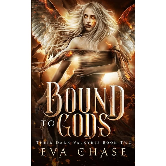 Their Dark Valkyrie Bound to Gods, Book 2, (Paperback)