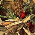 thumbnail image 1 of Thelema - Stilllife Soundtrack - Vinyl (Limited Edition), 1 of 1