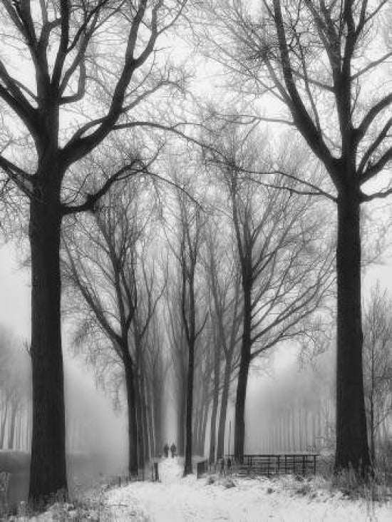 Then Winter Comes Canvas Art - Yvette Depaepe (18 x 24)
