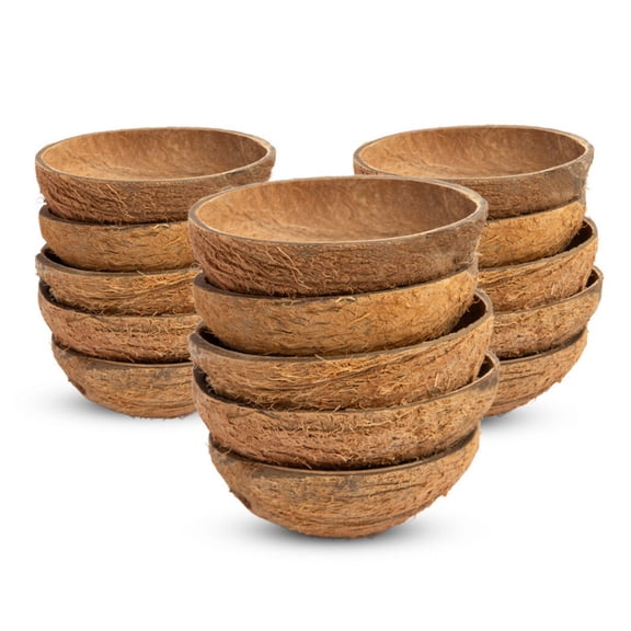 Thenga Oval Raw Coconut Shell Bowls - (Pack of 15) 150 ML | Handcrafted Bowls for Serving dishes, Candle Making Shells, Art & Craft, and Catering