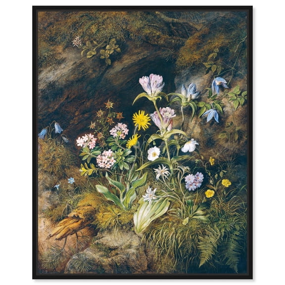 Theodor Josef Petter - Alpine Flora Canvas Vintage Floral Wall Art by Art Remedy, Black Frame, 16" x 20"
