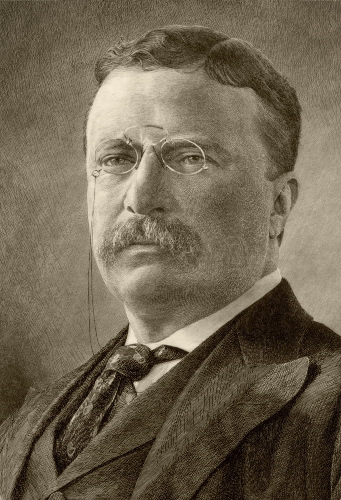 Theodore D Roosevelt 1858 To 1919 26Th President Of The United States Canvas Art - Ken Welsh Design Pics (24 x 34)