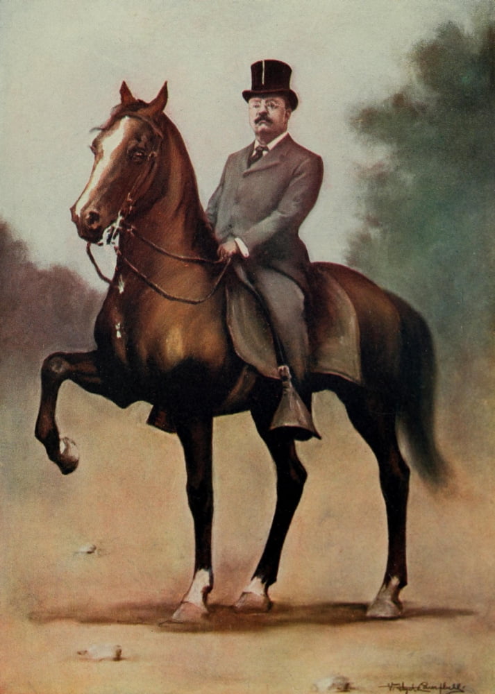 Theodore Roosevelt (1858-1919) president 1901-1909 Canvas Art - V Floyd Campbell (18 x 24)
